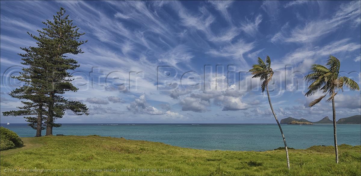 Peter Bellingham Photography Lord Howe Island - NSW T (PBH4 00 11785)